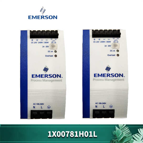 1X00781H01L EMERSON DIN 