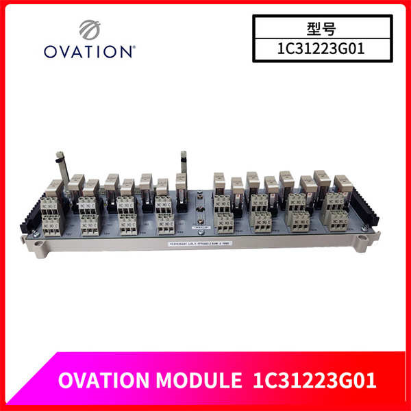 1C31223G01 OVATION 