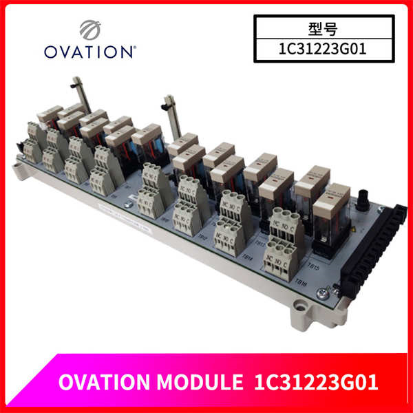 1C31223G01 OVATION 