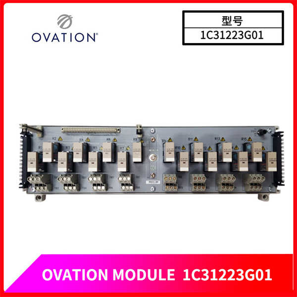 1C31223G01 OVATION 